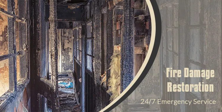 #bslide1 logo-image - banner-1-wgr-35