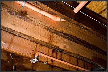 Hialeah Emergency Restoration Hialeah, FL 786-384-6092 Hialeah Emergency Restoration Hialeah, FL 786-384-6092